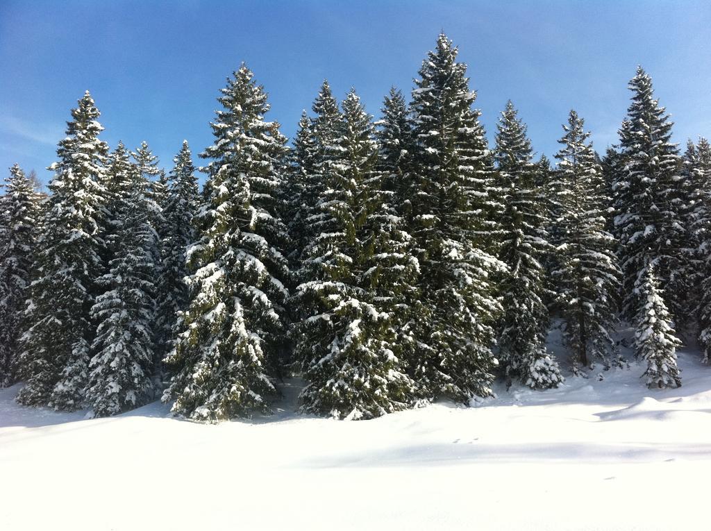 Alpenvilla Berchtesgaden Hotel Garni מראה חיצוני תמונה